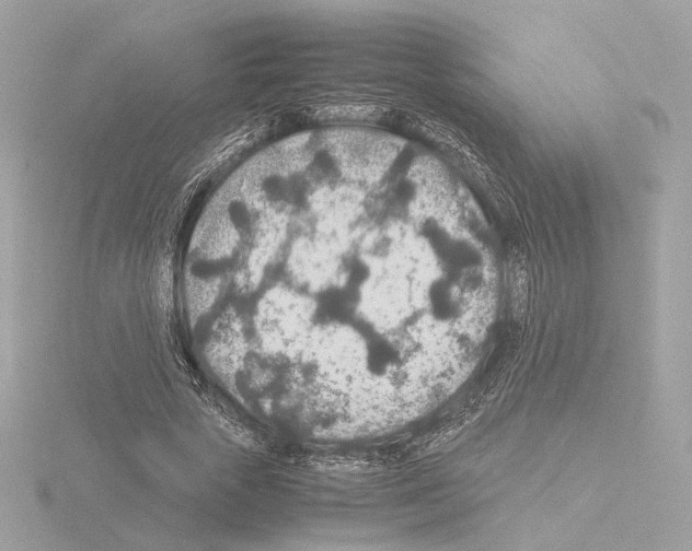 X0000115580729200912221048