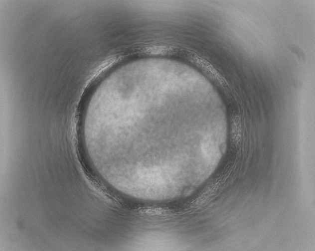 X0000115580730200912221048