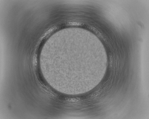 X0000115580731200912221048