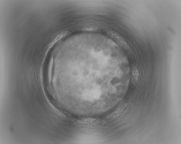 X0000115580734200912221048