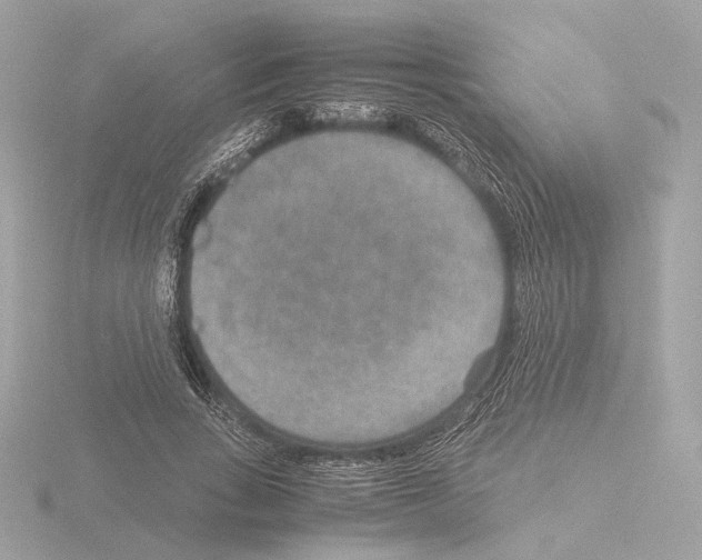 X0000115580735200912221048