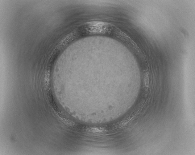 X0000115580737200912221048