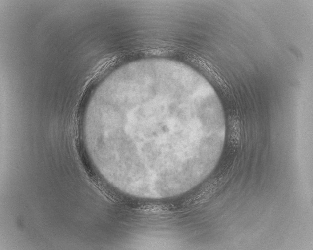 X0000115580738200912221048