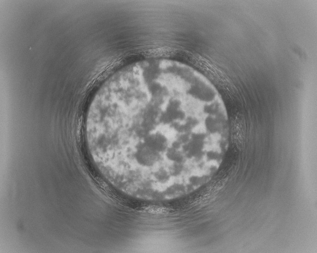 X0000115580742200912221048