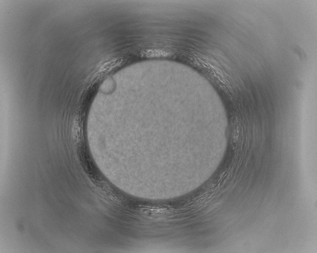 X0000115580743200912221048