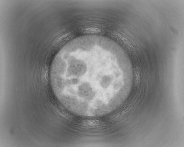 X0000115580745200912221048