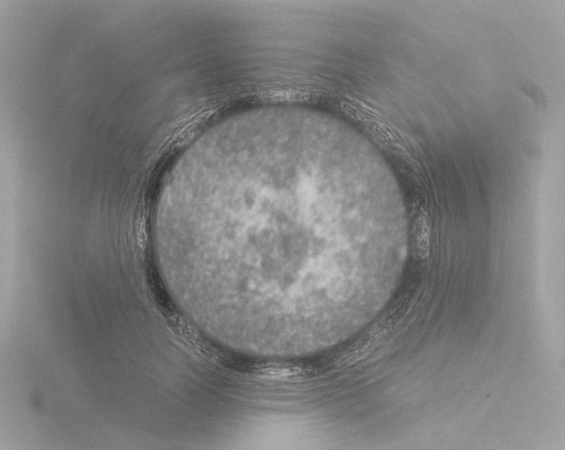 X0000115580746200912221048