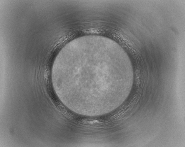 X0000115580747200912221048