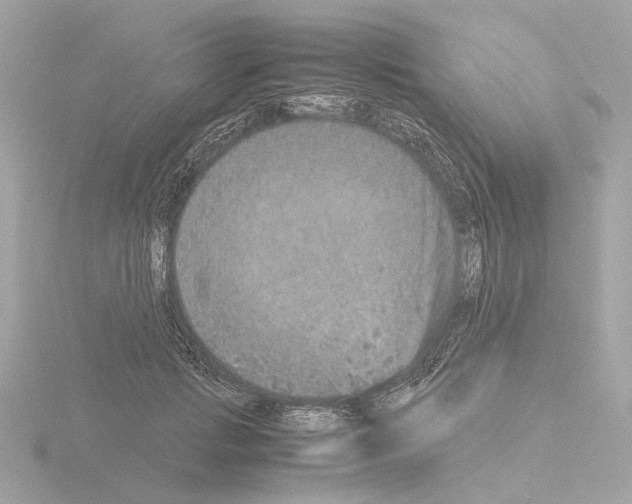 X0000115580749200912221048