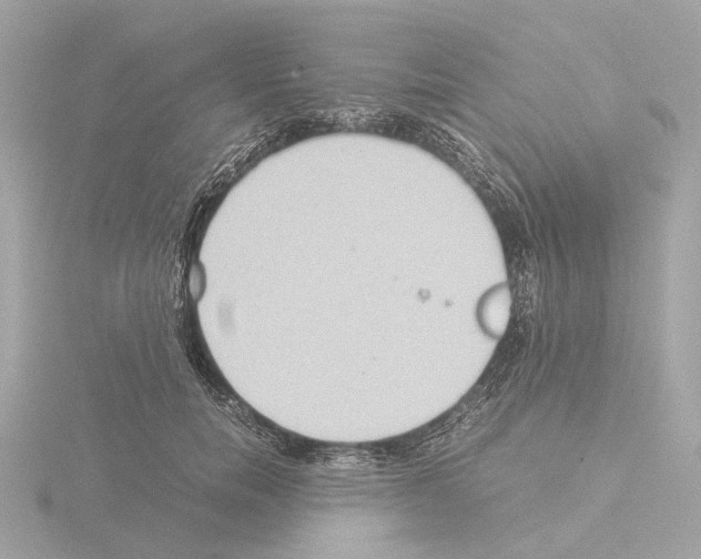 X0000115580750200912221048