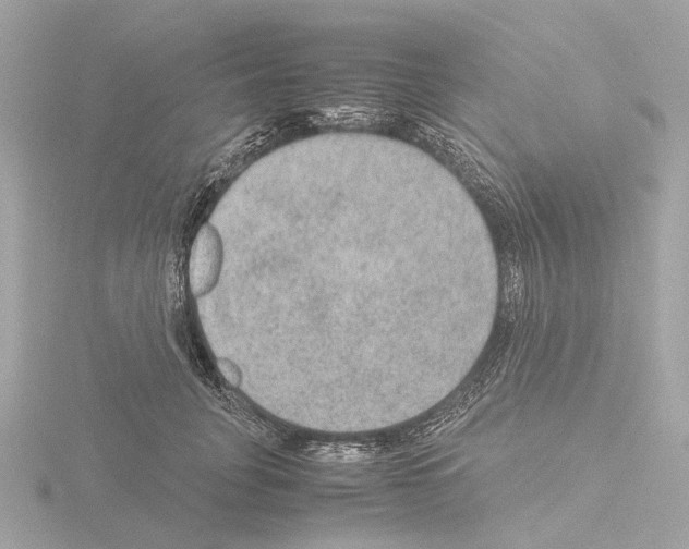 X0000115580751200912221048