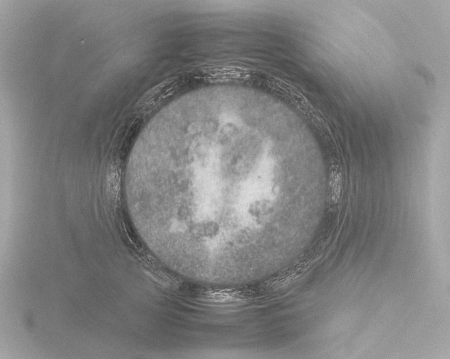 X0000115580753200912221048