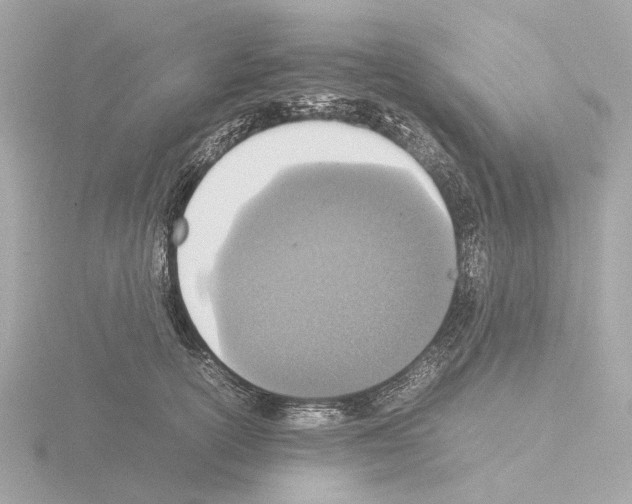 X0000115580754200912221048