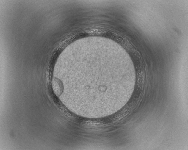 X0000115580755200912221048