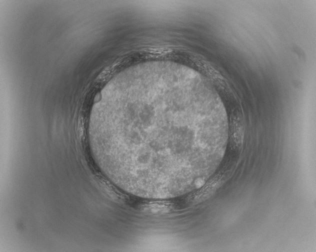 X0000115580758200912221049