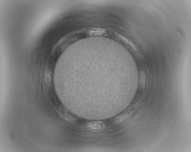 X0000115580761200912221049