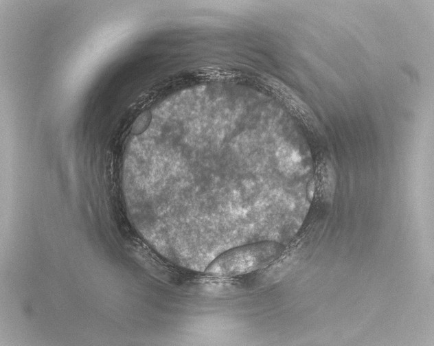 X0000115580762200912221049