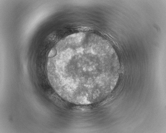 X0000115580763200912221049