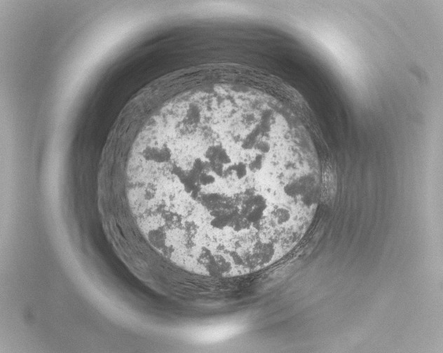 X0000115580765200912221049