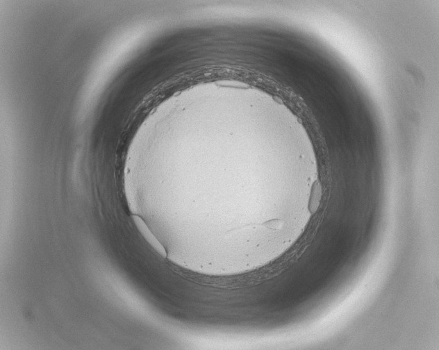 X0000115580766200912221049