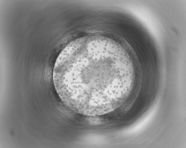 X0000115580767200912221049