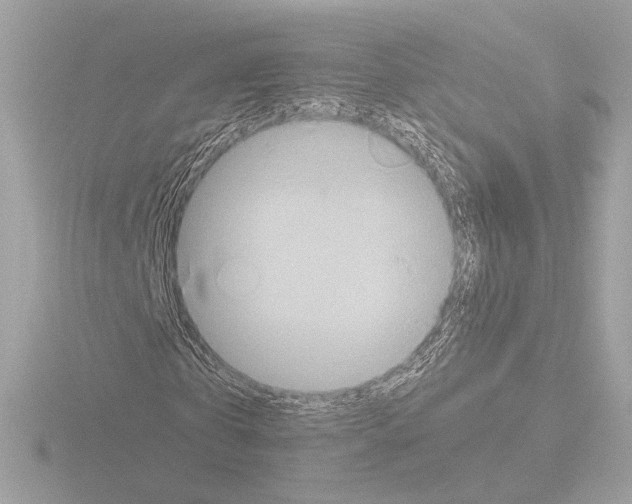 X0000115580769200912221048