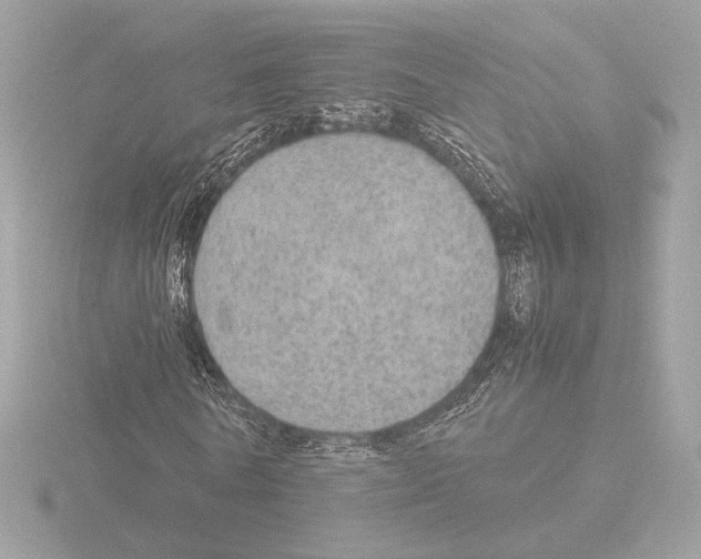 X0000115580770200912221048