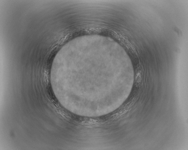 X0000115580772200912221048