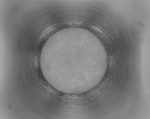 X0000115580774200912221048