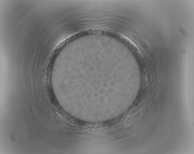 X0000115580775200912221048