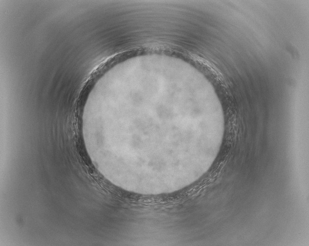 X0000115580776200912221048