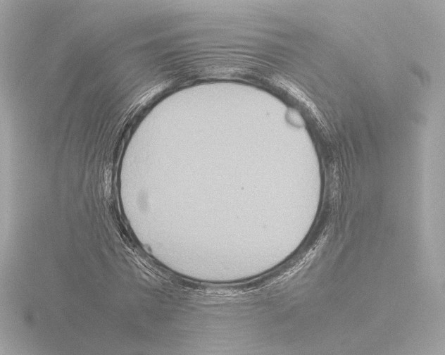 X0000115580777200912221048