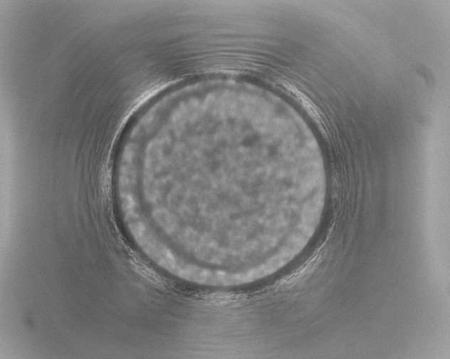 X0000115580779200912221048