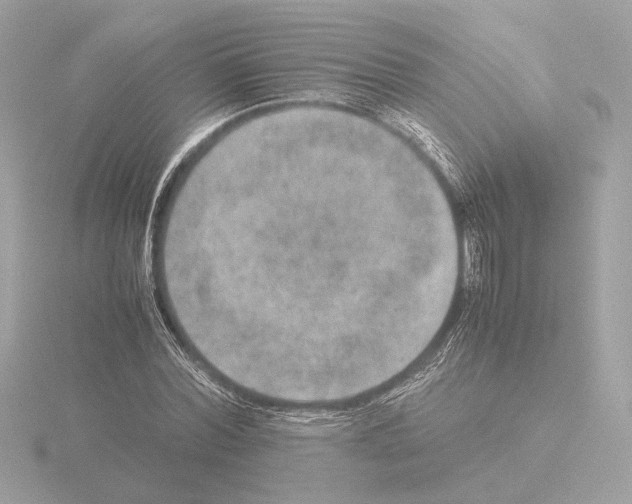 X0000115580780200912221048