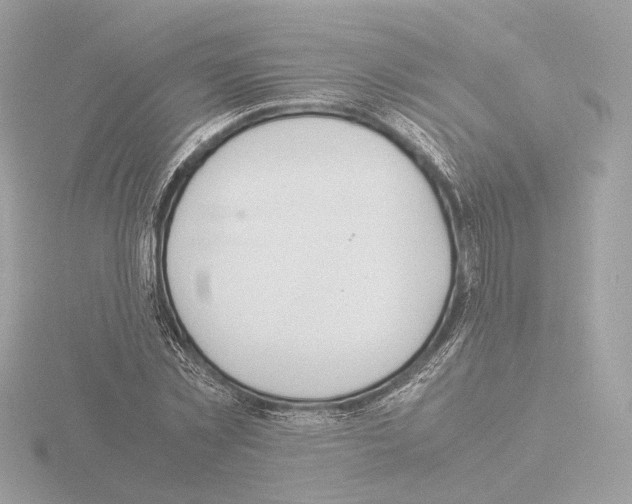 X0000115580781200912221048