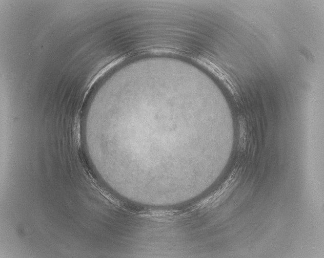 X0000115580782200912221048