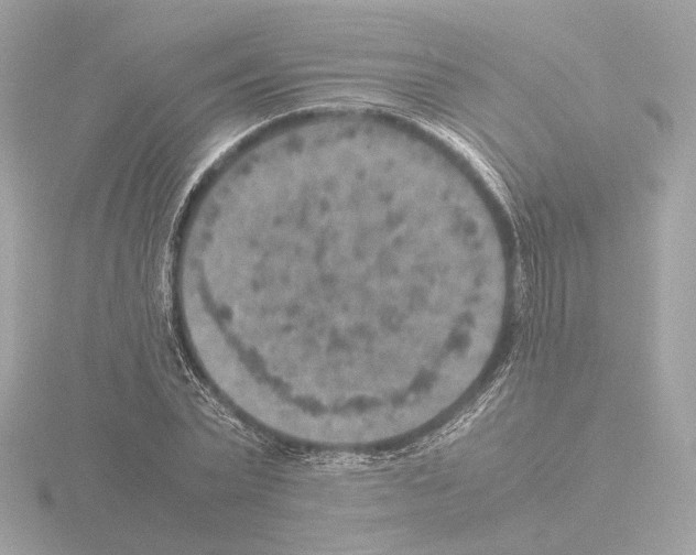 X0000115580783200912221048