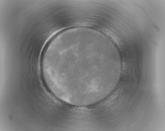 X0000115580784200912221048