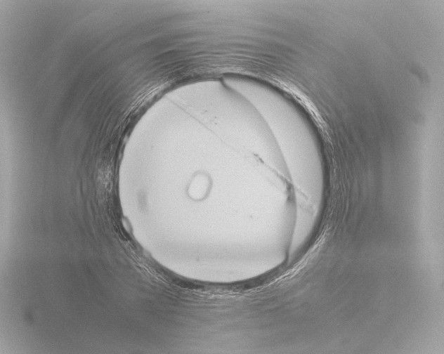 X0000115580785200912221048