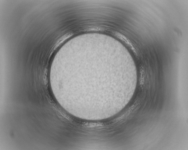 X0000115580786200912221048