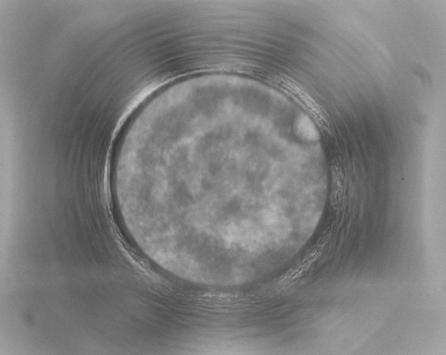 X0000115580788200912221048