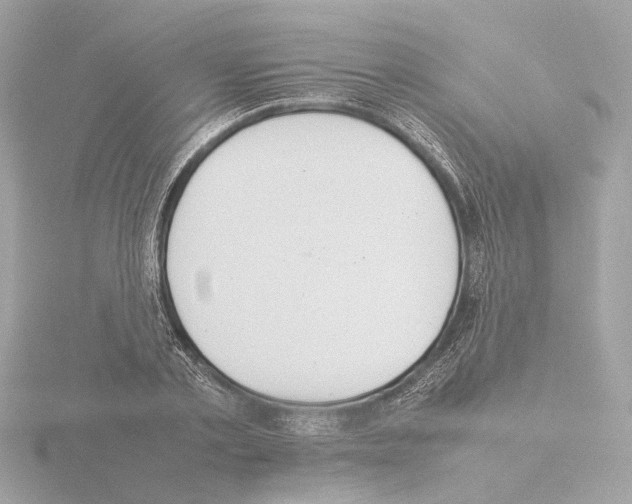 X0000115580789200912221048