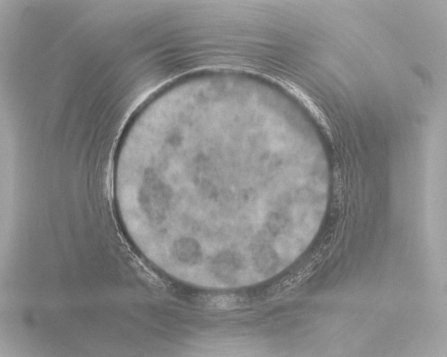 X0000115580791200912221048