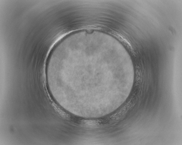 X0000115580792200912221048