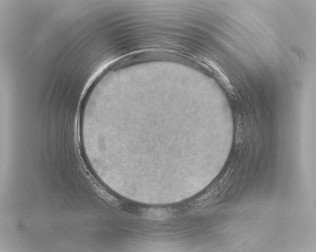 X0000115580796200912221048