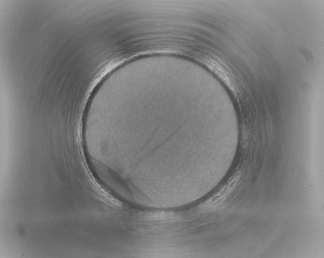 X0000115580797200912221048