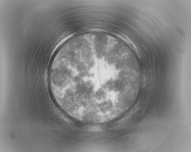 X0000115580798200912221048