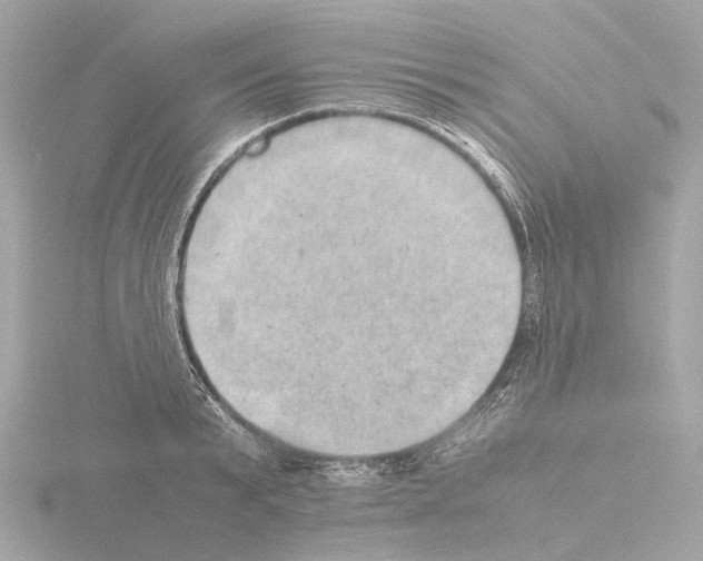 X0000115580799200912221048