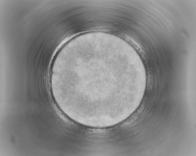 X0000115580800200912221048