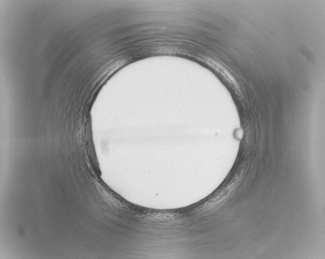 X0000115580801200912221048